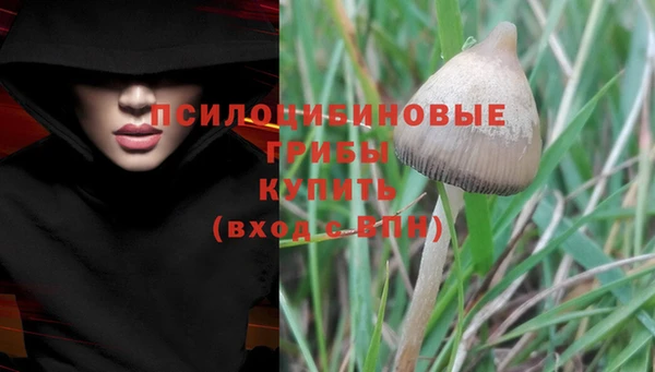 альфа пвп Осташков