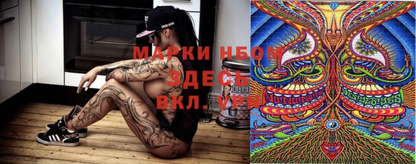 ПСИЛОЦИБИНОВЫЕ ГРИБЫ Балахна