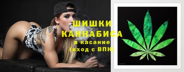ПСИЛОЦИБИНОВЫЕ ГРИБЫ Балахна