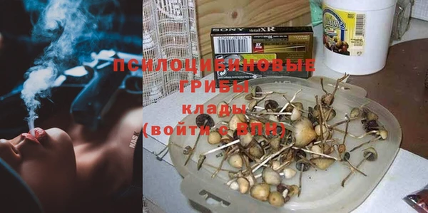 ПСИЛОЦИБИНОВЫЕ ГРИБЫ Балахна