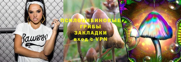 ПСИЛОЦИБИНОВЫЕ ГРИБЫ Балахна